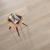 Neutral Brushed Oak